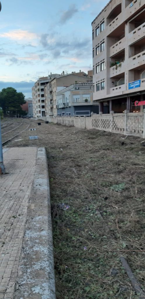 Desbroce y limpieza de las vías de acceso estación ADIF de Tortosa