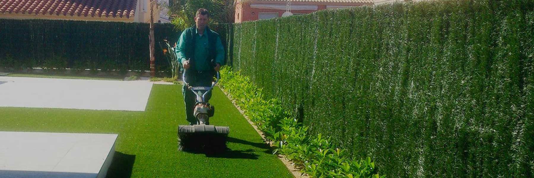 cuando contratar una empresa de jardinería en Tarragona cuando contratar una empresa de jardinería en Tarragona
