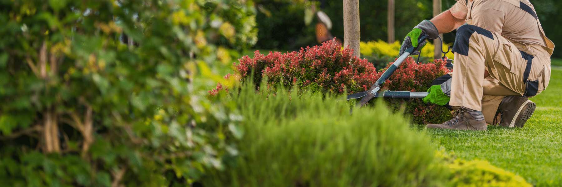 que hace una empresa de jardinería en Tarragona