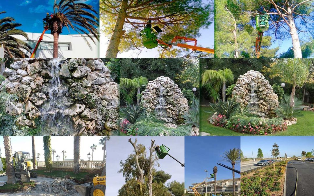 ¿Qué hace una empresa de jardinería en Tarragona y cómo elegir la adecuada?